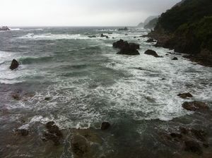 IMG_0095.JPG