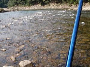P1010005.JPG