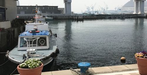 IMG_0357.JPG